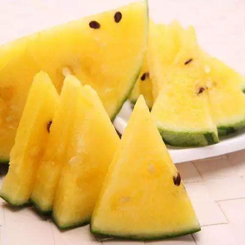 最好用的吃瓜网