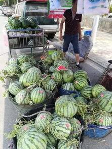 湘潭网红吃瓜事件,揭秘网络舆论的风暴与真相