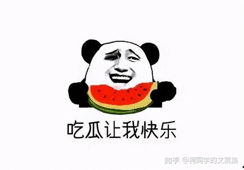 网红吃瓜文案搞笑,笑料横飞,一场视觉盛宴等你来!