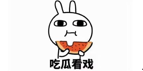 网红吃瓜文案搞笑,笑料横飞,一场视觉盛宴等你来!