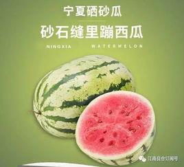 1元吃瓜网红,网红吃瓜界的传奇崛起